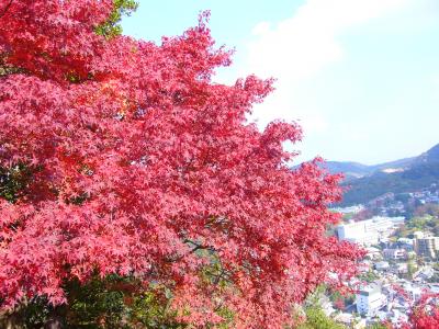 有馬温泉紅葉旅♪