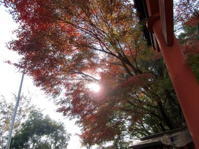 高尾山ハイキング