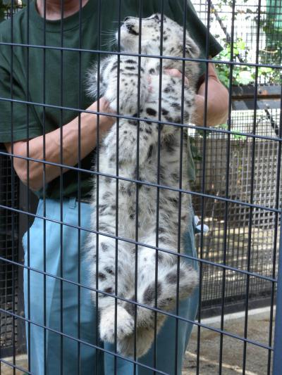 ベビーブーム・円山動物園