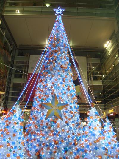 相模原　相模大野駅クリスマスツリー