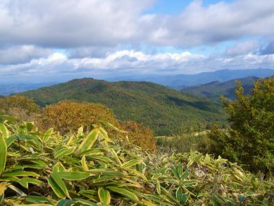 深山　　