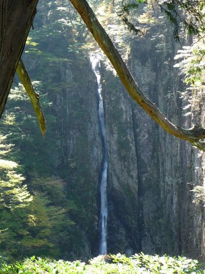 lrg_10397941.jpg?updated_at=