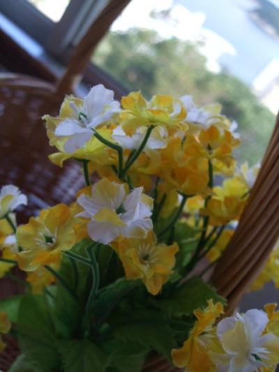 南紀白浜 小さな宿「白南風」レポート②