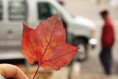 カナダ・東アメリカ紅葉の旅（12日間）ケベック編