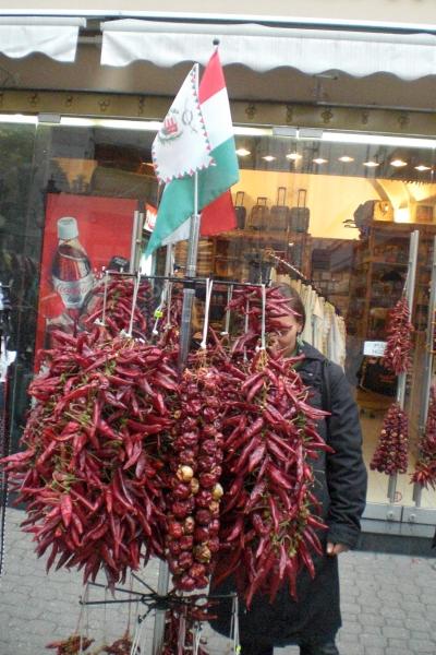 i miss i-pod ,no music no life 　ハンガリー　ブダペスト１日目