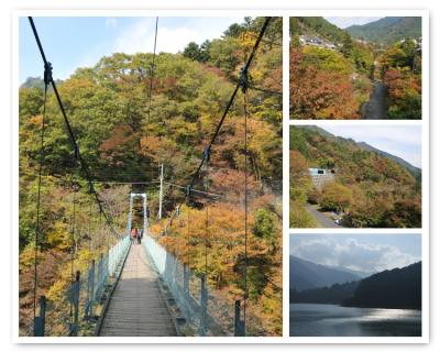 「奥多摩むかしみち」【駅からハイキング】＜奥多摩駅～しだくら吊橋～奥多摩湖＞