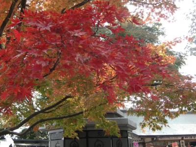 高尾登山は久しぶり