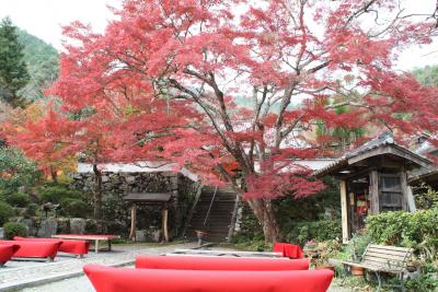 ２００９年京都紅葉情報９（神蔵寺）