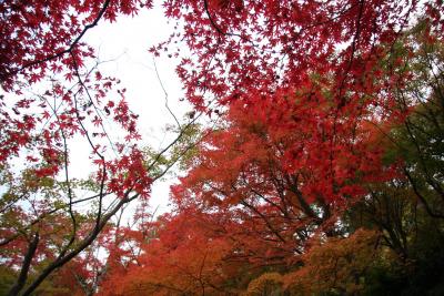 大河内山荘 ~ 嵐山・嵯峨野 (その1)