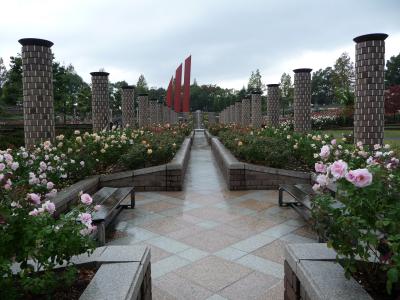 2009年季節の花だより◆荒牧バラ公園の秋バラ（兵庫県伊丹市）