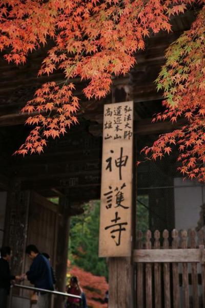 高尾山神護寺の紅葉