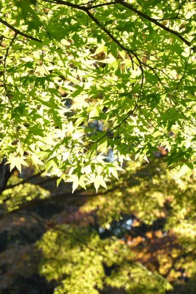 秋の明治村【作成中】