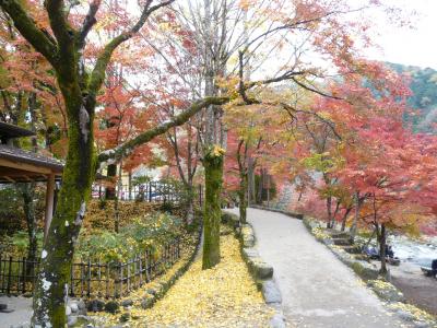 香嵐渓は今、燃える秋を迎えています。