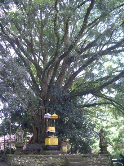 Bali⑨(with My Family)