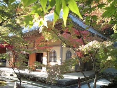 秋のウォーキング　滋賀・永源寺周辺