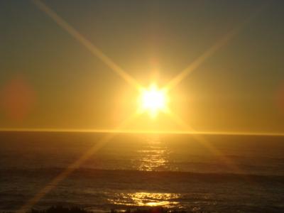 素敵・美味しい サンフランシスコ♪①