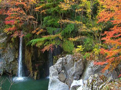 晴れの国　岡山（紅葉情報/出雲街道：普門寺＆神代四季桜～新庄村）