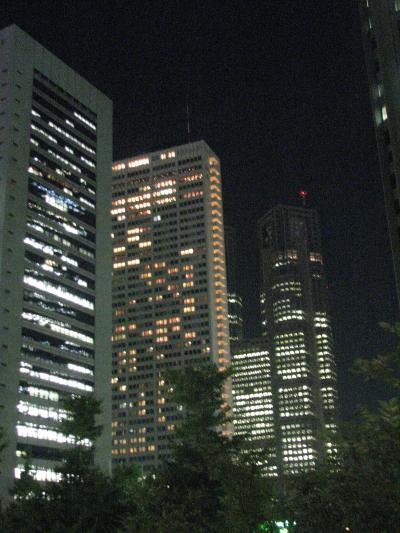 東京の夜景を楽しむ・・・新宿駅付近にて②新宿駅西口付近～超高層ビル付近