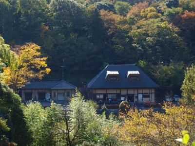 座間　県立谷戸山公園　昔懐かしい感じの秋を満喫