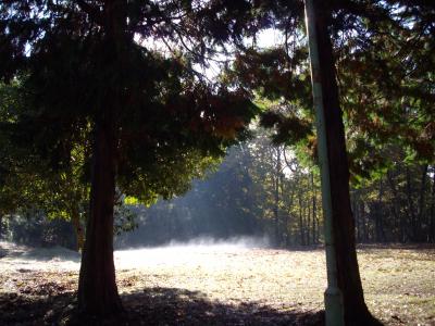 駄馬の会INキャビン