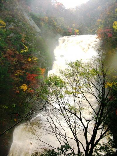 紅葉めぐり-10　袋田の滝*紅葉全盛期に　☆激烈な奔流/水飛沫浴びて