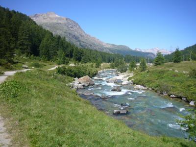 2009 スイス・サンモリッツの旅～（４）モルテラッチ駅までハイキング