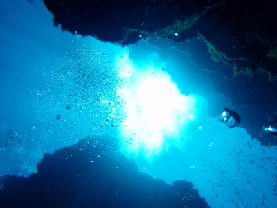 新型インフルのバカヤロー！～海外に行かれないリゾートダイバーの石垣旅行記～