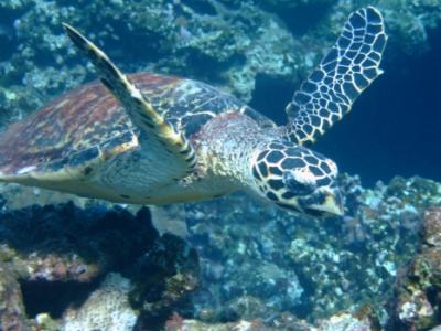 《 沖縄 》 ３日目