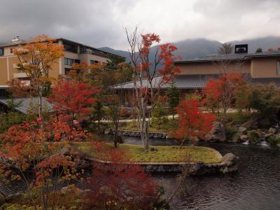 ２００９年１１月　東急ハーヴェストクラブＶＩＡＬＡ箱根翡翠の紅葉とグレインの夕食