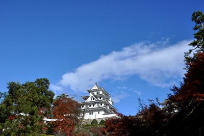 築城450周年記念郡上八幡城もみじまつり