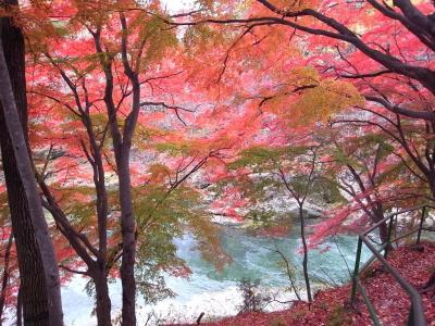 諏訪峡の紅葉