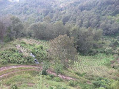 ネパール旅行　２００９　②　～カトマンズ＆ナガルコット編～　