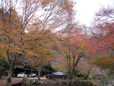 武田尾温泉の紅葉　2009