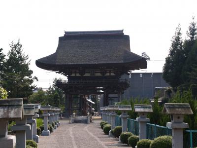 滋賀の神社（国宝社殿）