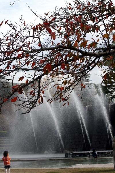 ひとり旅 ［646］ 晩秋～その２～紅葉をさがして＜岩国錦帯橋・吉香公園散策＞山口県岩国市