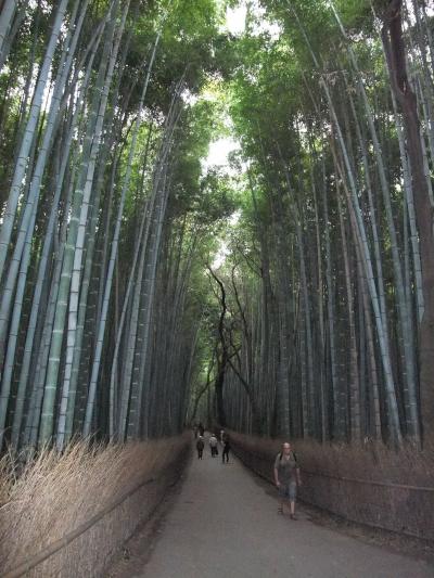 嵯峨野 竹林の道