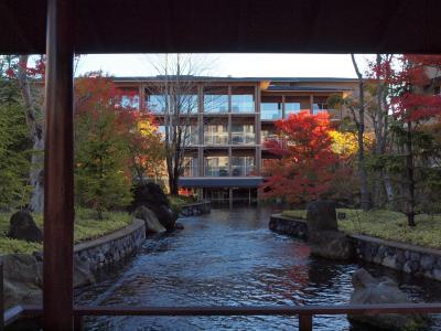２００９年１１月　東急ハーヴェストクラブＶＩＡＬＡ箱根翡翠の紅葉と花菜の夕食