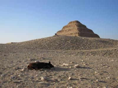 世界遺産の旅■エジプト編■①