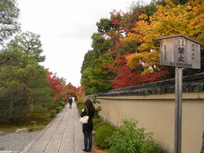 洛北の紅葉～大徳寺塔頭、芳春院（０９年秋）