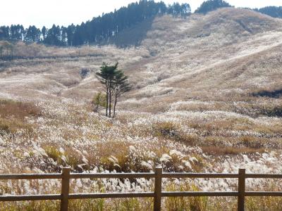 ススキの砥峰高原♪