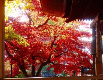 渋滞をさけ紅葉狩りができる所沢多聞院