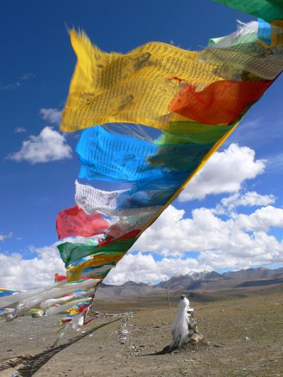 ヒマラヤ縦走3000kmの旅 7（ギャンツェ～シガツェ～ニューティンリ）