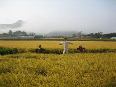 韓国の田舎へ　安東−河回村PART2