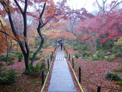 晩秋の京都週末旅＠リーガロイヤルホテル京都