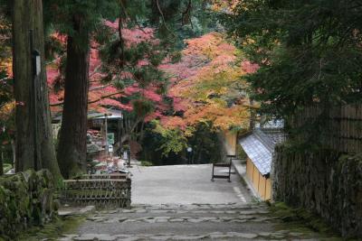 湖東三山「西明寺」の紅葉