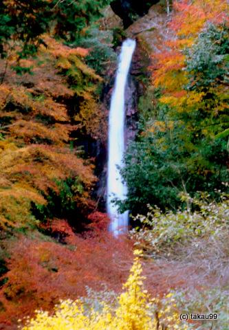 長瀞紅葉狩り旅行記