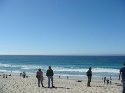 素敵・美味しい サンフランシスコ♪②