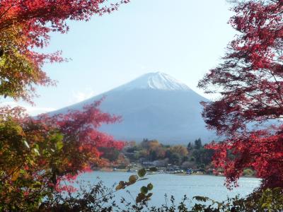 富士山と紅葉