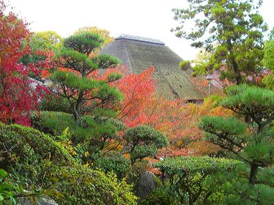 晴れの国　岡山（紅葉情報/良寛さんゆかりのお寺：玉島　円通寺）