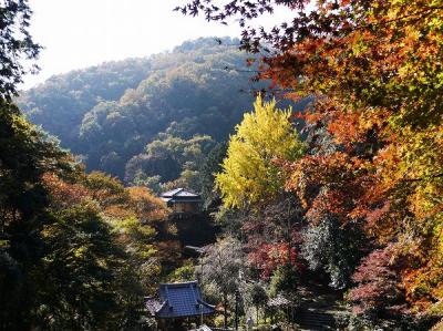 紅葉回廊・浄因寺